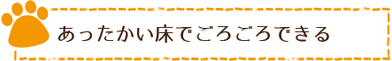 あったかい床でごろごろする