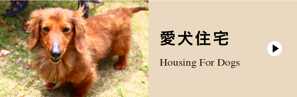 愛犬住宅