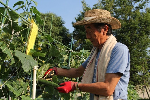 会長にとって、畑で野菜が育つ事が楽しみであり 
 
 
会社にとって、社員が成長する姿が楽しみであり 
 
 
また、お客様のお家が完成していく姿も楽しみであり 
 
 
その裏には大変なことがたくさんあると思いますが 
 
 
夏の暑い季節に向け 
 
 
日々、頑張り続けていきたいと思います