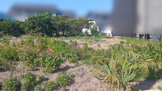 炎天下での現地確認。写真撮影の裏側をご紹介します。